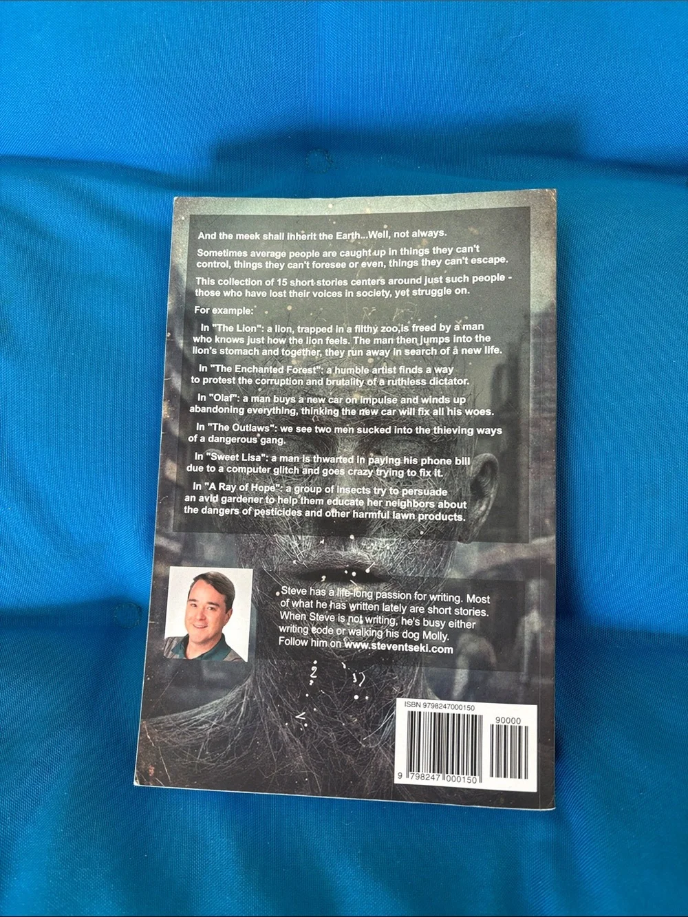 Tiny Voices Stories Of The Disenfranchised By Steven R. Tseki SignedBookByAuthor